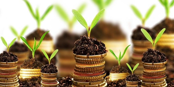 PESANTREN-BASED ECONOMIC EMPOWERMENT CONCEPT